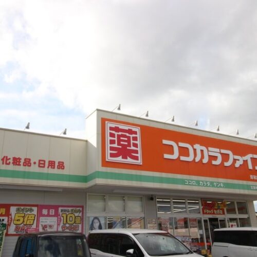 ココカラファイン岸和田西之内店