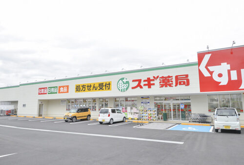 スギ薬局松原南新町店