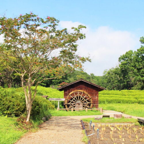 大和民俗公園