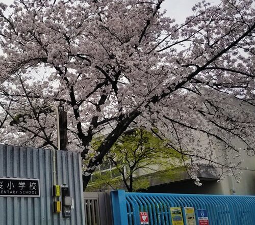 門真市立水桜小学校