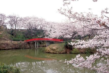 水間公園
