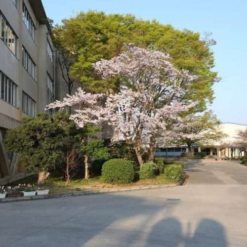 交野市立第三中学校