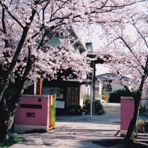 奈良市立高円こども園