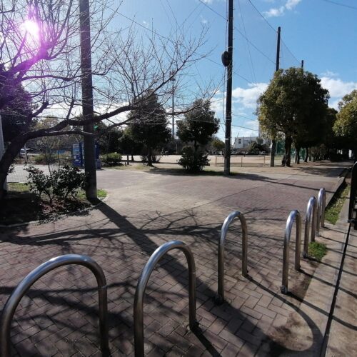 中央公園