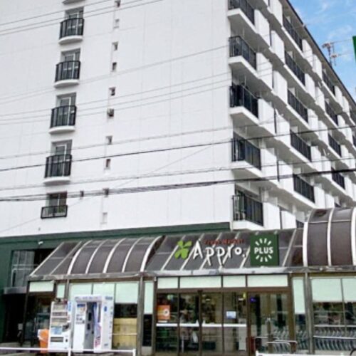 食品館アプロプラス忠岡店