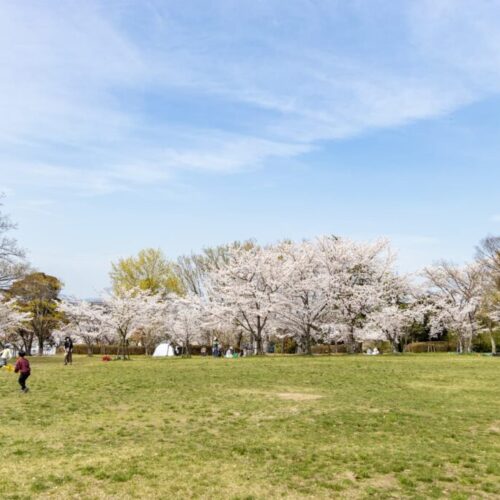 王仁公園