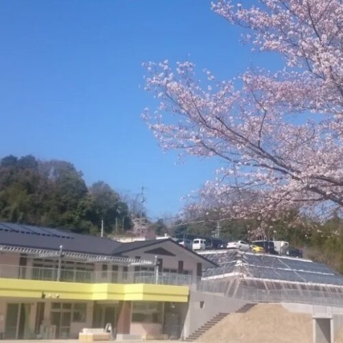 幼保連携型認定こども園たかやまこども国